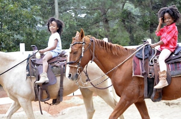 Luxe Event Rental Horse rentals kids riding