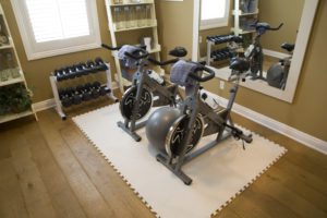 home gym exercise room spin bike rentals